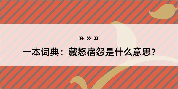 一本词典：藏怒宿怨是什么意思？