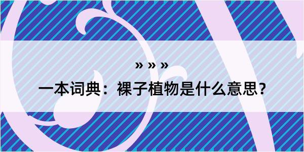 一本词典：裸子植物是什么意思？