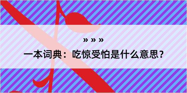 一本词典：吃惊受怕是什么意思？