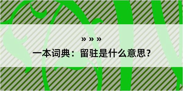 一本词典：留驻是什么意思？