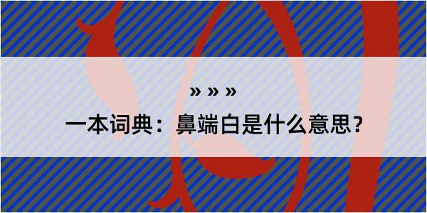 一本词典：鼻端白是什么意思？