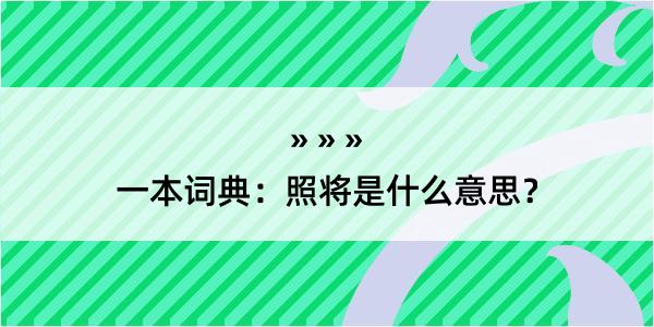 一本词典：照将是什么意思？