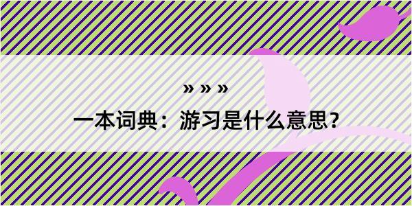 一本词典：游习是什么意思？