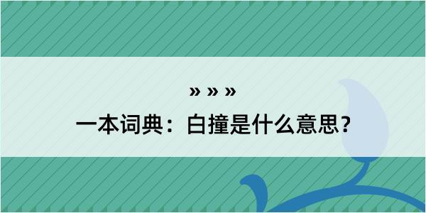 一本词典：白撞是什么意思？