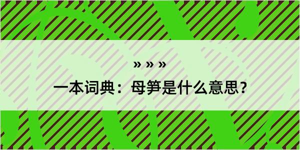 一本词典：母笋是什么意思？