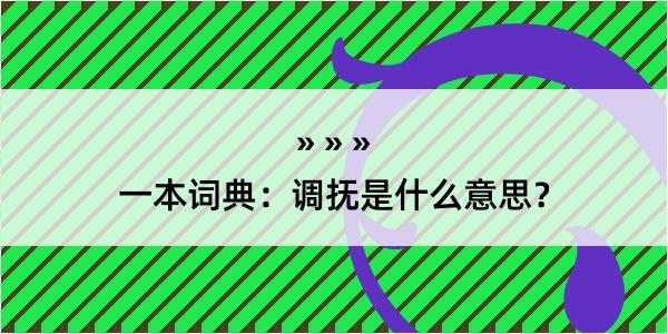 一本词典：调抚是什么意思？