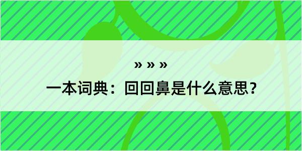 一本词典：回回鼻是什么意思？