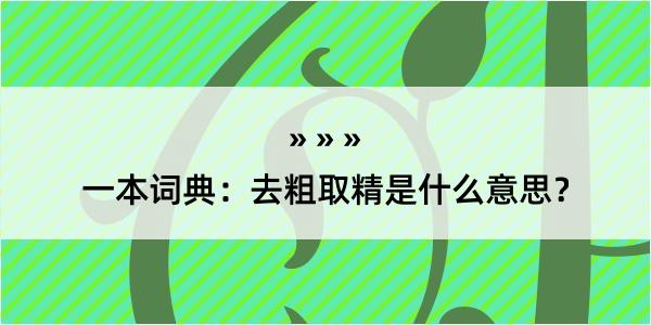 一本词典：去粗取精是什么意思？