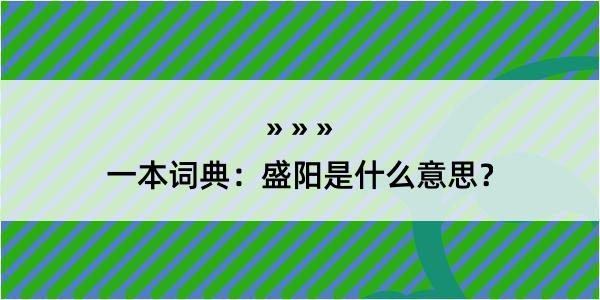 一本词典：盛阳是什么意思？