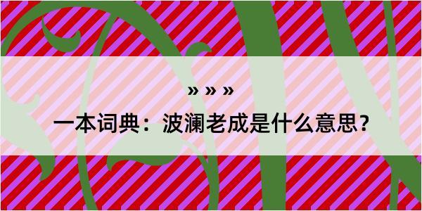 一本词典：波澜老成是什么意思？