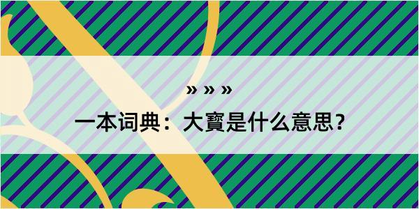 一本词典：大寳是什么意思？