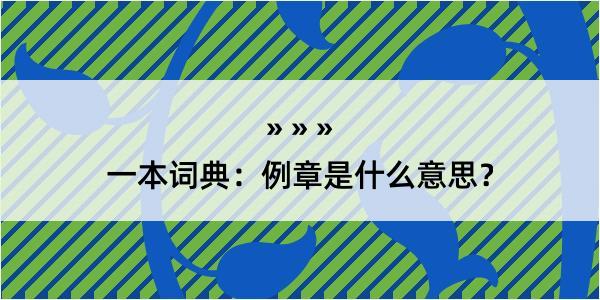 一本词典：例章是什么意思？