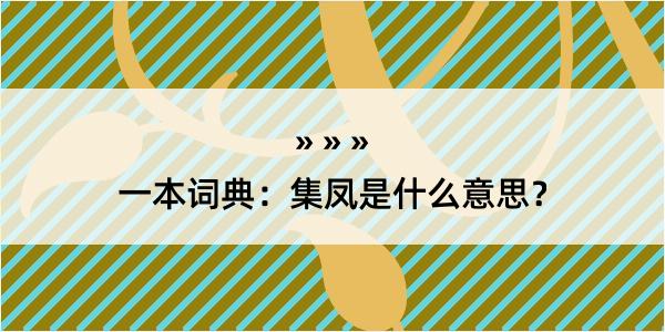 一本词典：集凤是什么意思？