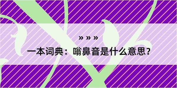 一本词典：嗡鼻音是什么意思？