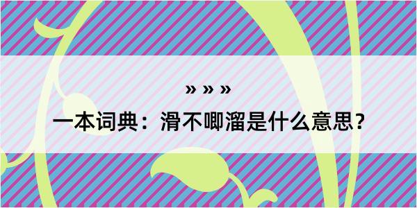 一本词典：滑不唧溜是什么意思？