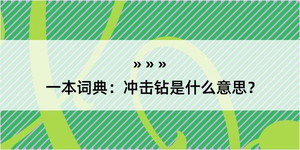 一本词典：冲击钻是什么意思？