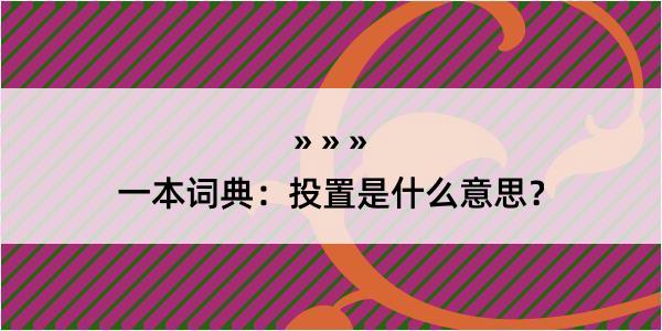 一本词典：投置是什么意思？