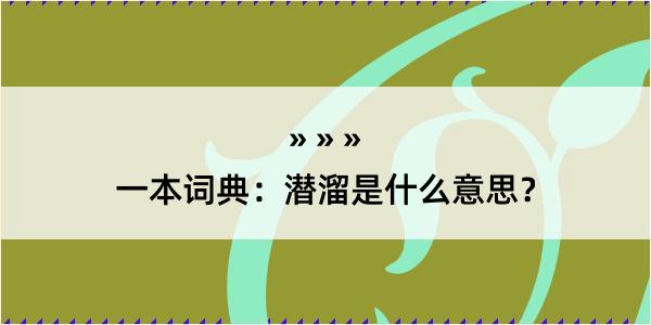 一本词典：潜溜是什么意思？