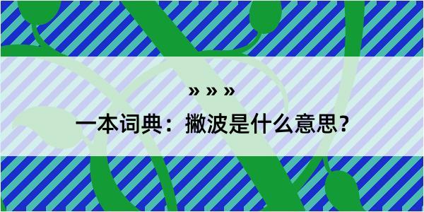 一本词典：撇波是什么意思？