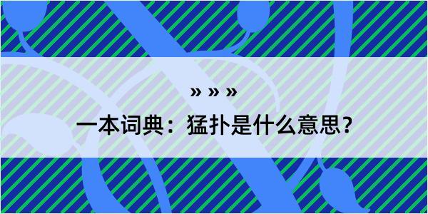 一本词典：猛扑是什么意思？