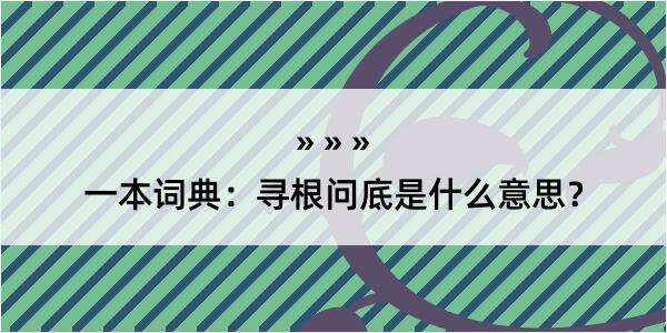 一本词典：寻根问底是什么意思？