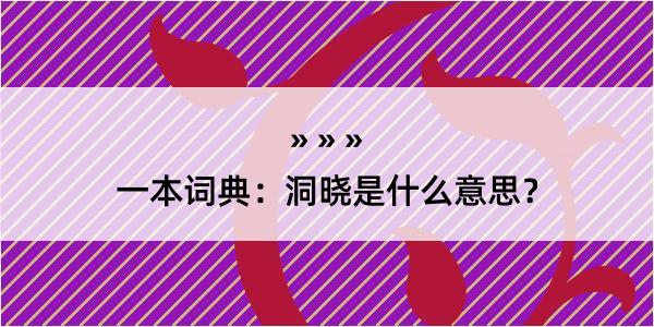 一本词典：洞晓是什么意思？