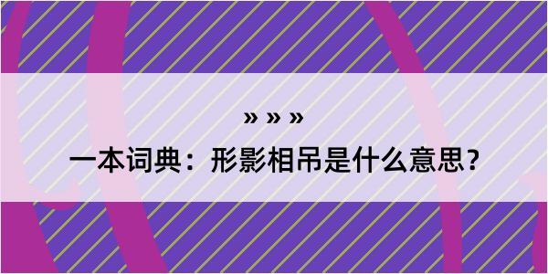 一本词典：形影相吊是什么意思？