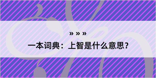 一本词典：上智是什么意思？