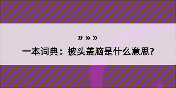 一本词典：披头盖脑是什么意思？