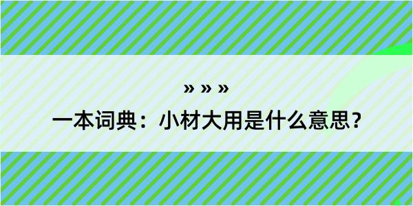 一本词典：小材大用是什么意思？