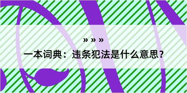 一本词典：违条犯法是什么意思？