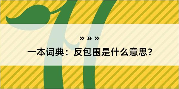 一本词典：反包围是什么意思？