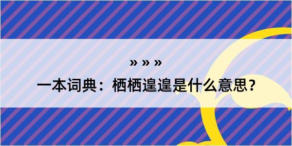 一本词典：栖栖遑遑是什么意思？