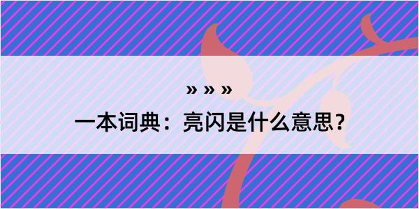 一本词典：亮闪是什么意思？