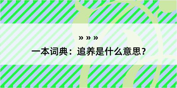 一本词典：追养是什么意思？