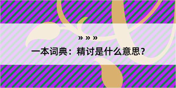 一本词典：精讨是什么意思？