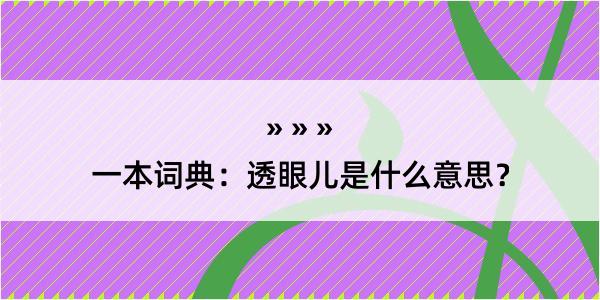 一本词典：透眼儿是什么意思？