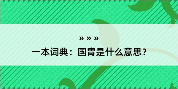 一本词典：国胄是什么意思？