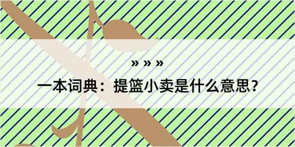 一本词典：提篮小卖是什么意思？