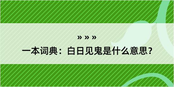 一本词典：白日见鬼是什么意思？