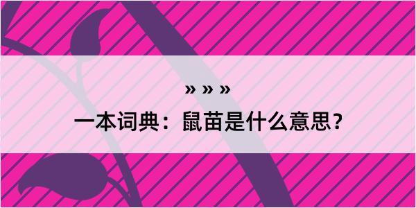 一本词典：鼠苗是什么意思？