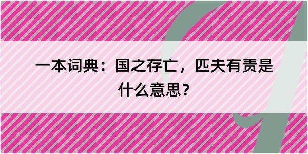 一本词典：国之存亡，匹夫有责是什么意思？