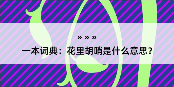 一本词典：花里胡哨是什么意思？