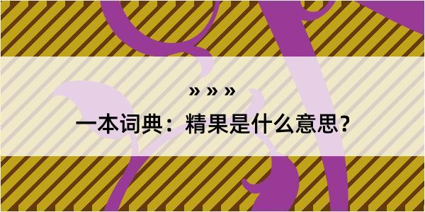 一本词典：精果是什么意思？