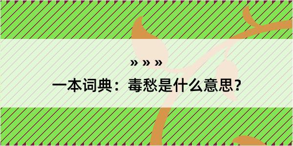 一本词典：毒愁是什么意思？