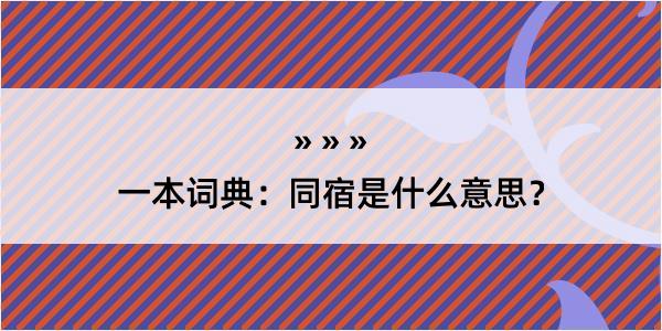 一本词典：同宿是什么意思？