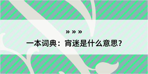 一本词典：宵迷是什么意思？