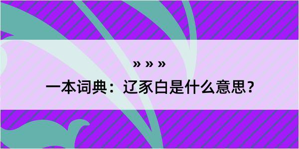 一本词典：辽豕白是什么意思？