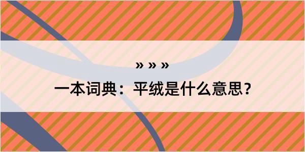 一本词典：平绒是什么意思？