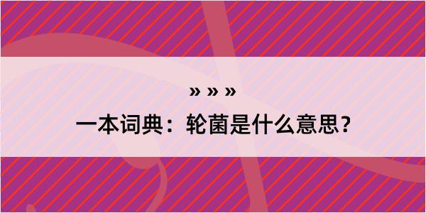 一本词典：轮菌是什么意思？